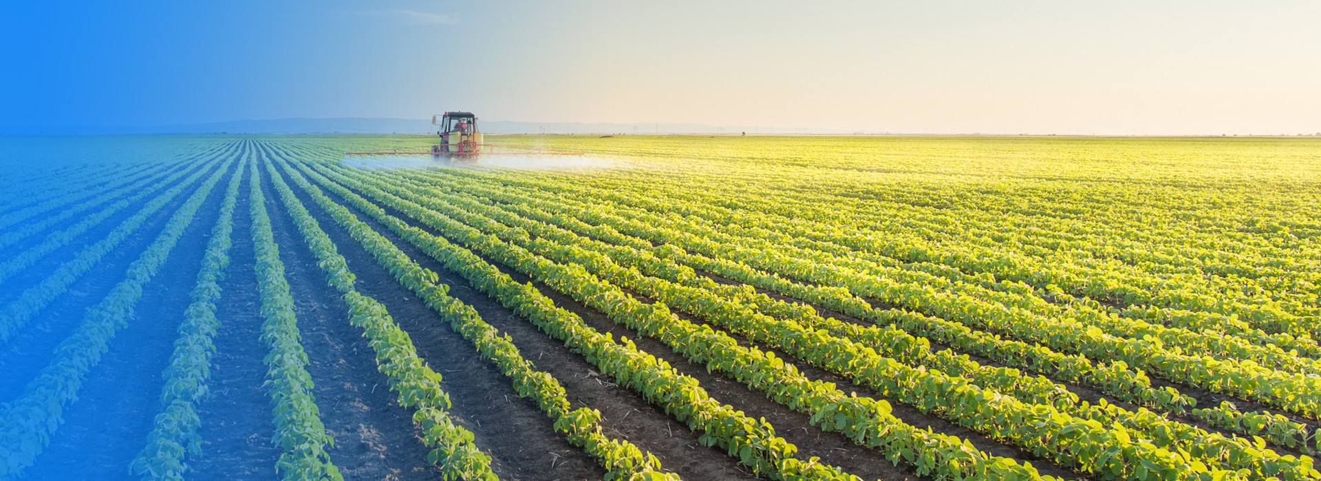 pg电子游戏农业公司